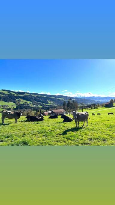 Allgaeu Cottage - Traumhafter Blick In Die Schweizer Berge Weiler-Simmerberg Ngoại thất bức ảnh